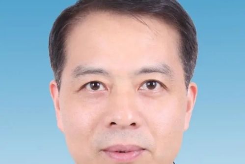 沈華鋒 沈華鋒