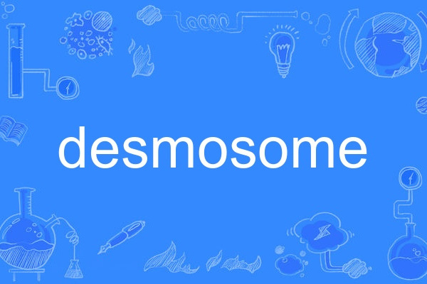 desmosome desmosome