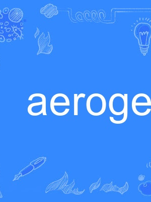aerogel aerogel