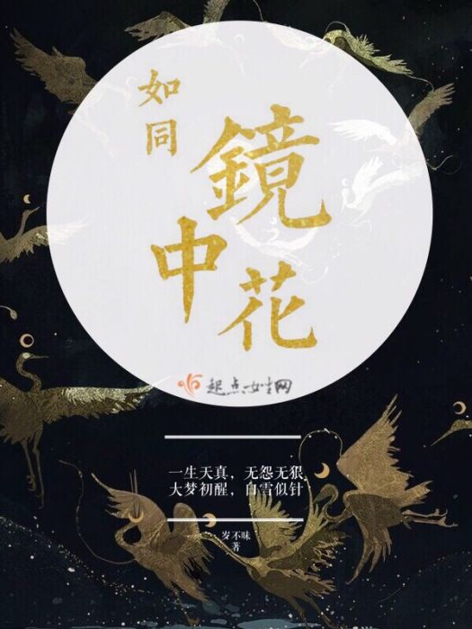 如同鏡中花 如同鏡中花