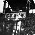 集團部落