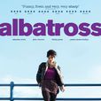 信天翁(albatross) 信天翁(albatross)