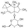 原蕨苷 原蕨苷