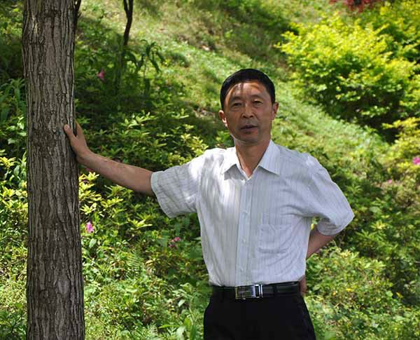 婁高排 婁高排
