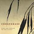 Cheatgrass