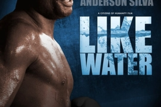 Like Water(紀錄片) Like Water(紀錄片)
