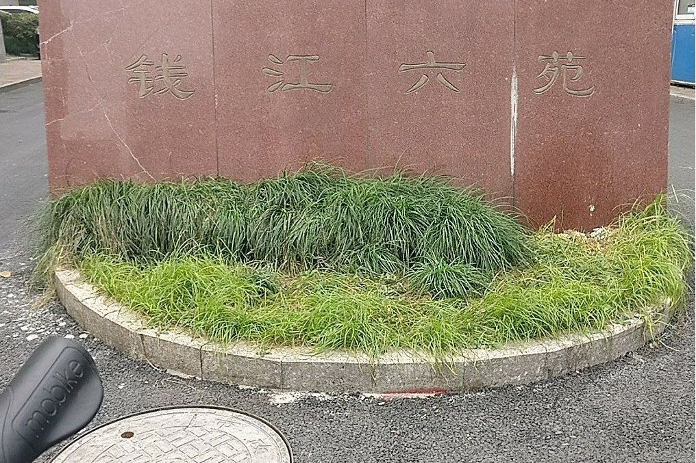 錢江六苑 錢江六苑