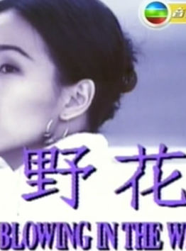 馮曉文 馮曉文