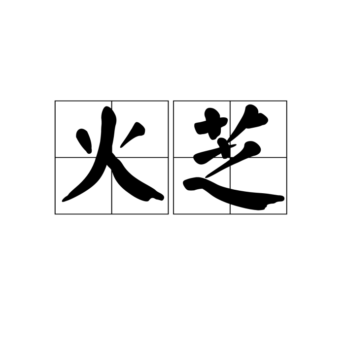 火芝 火芝