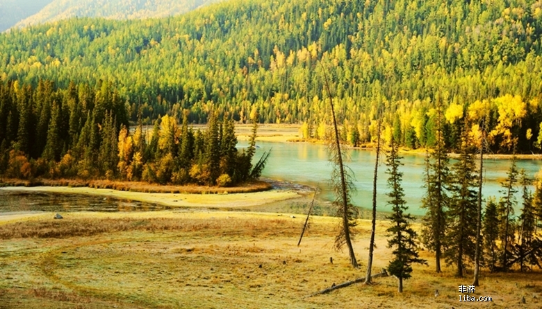新疆麥蓋提唐王湖國家濕地公園