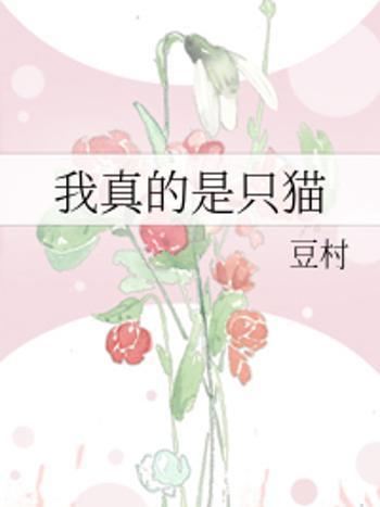 我真的是只貓 我真的是只貓