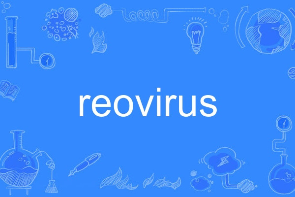 reovirus reovirus