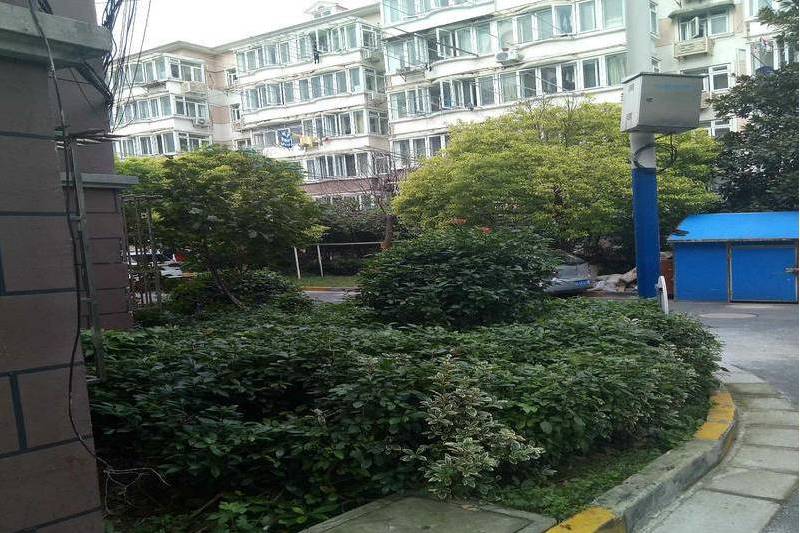 沙申新村 沙申新村