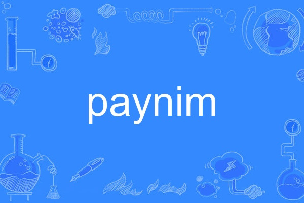 paynim paynim