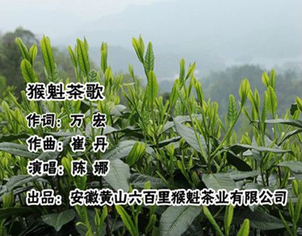 猴魁茶歌 猴魁茶歌