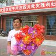 張紹平(中共巍山縣委常委) 張紹平(中共巍山縣委常委)