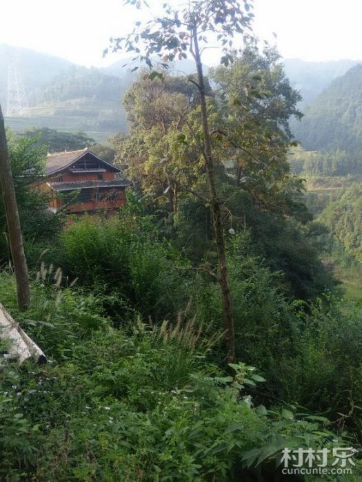 響榜村 響榜村