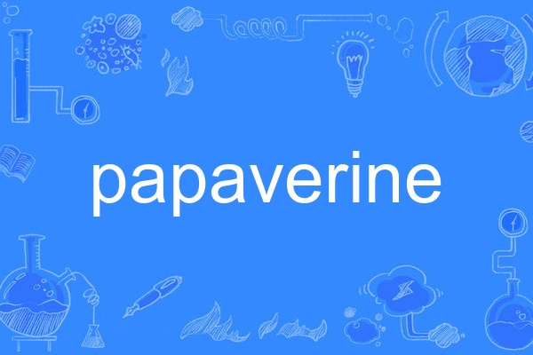 papaverine papaverine