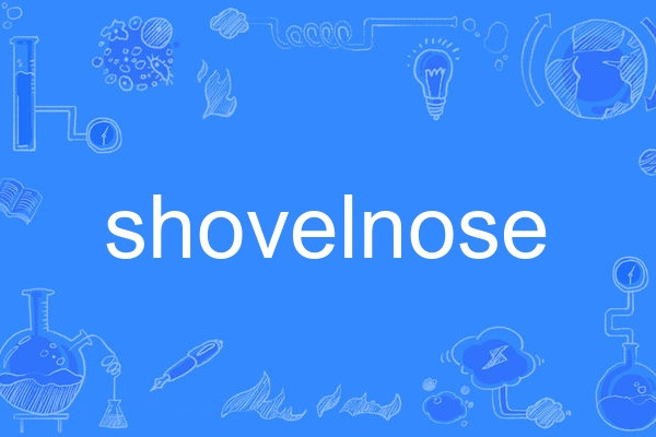 shovelnose shovelnose