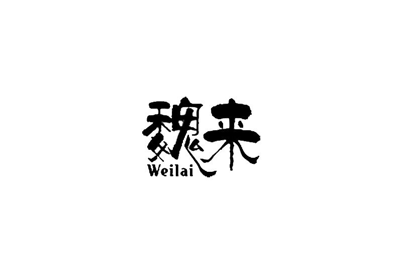 魏來(江西毛筆品牌) 魏來(江西毛筆品牌)