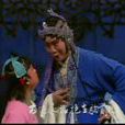 王萬梅 王萬梅