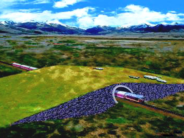 青藏鐵路路基平交緩坡通道