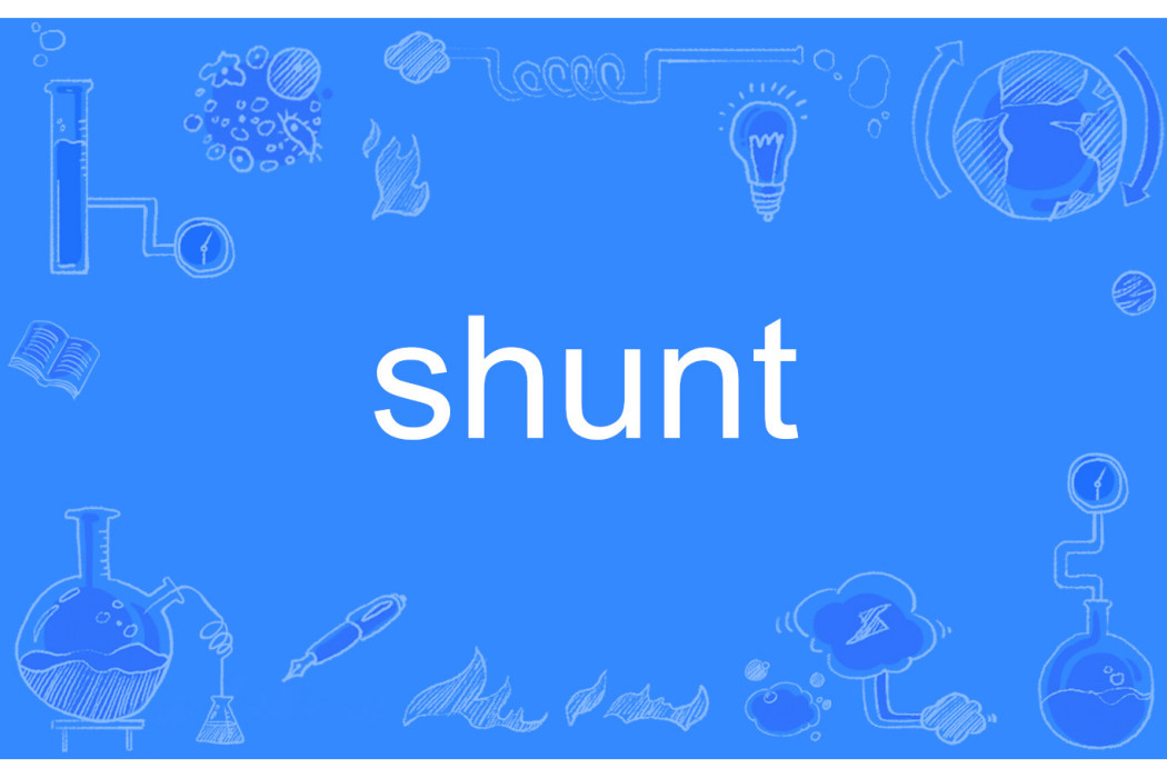 shunt shunt