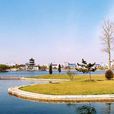 長沙月湖公園