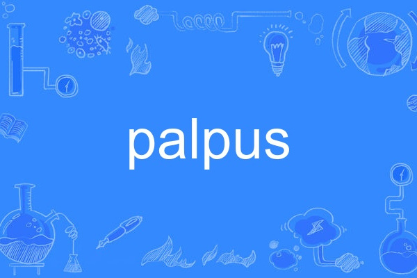 palpus palpus