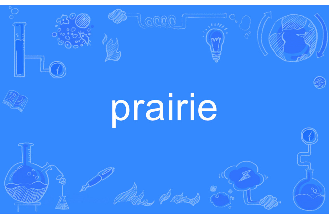 Prairie(英文單詞) Prairie(英文單詞)