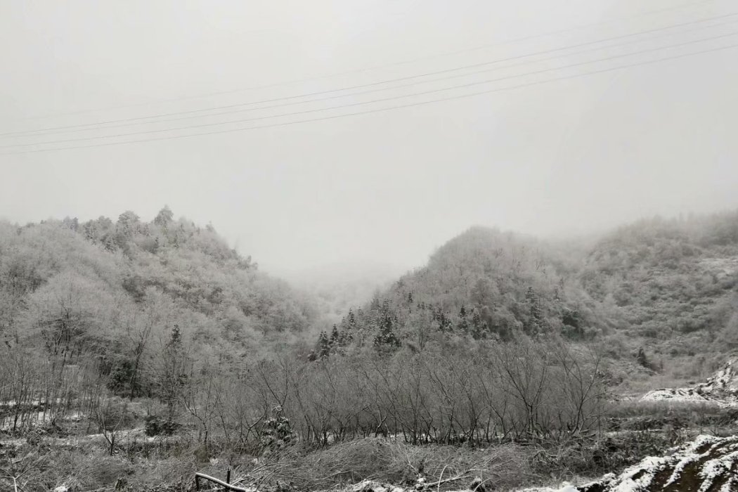 逆蒼茫 逆蒼茫