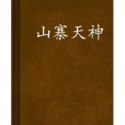 山寨天神 山寨天神