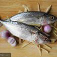 魚腥味 魚腥味