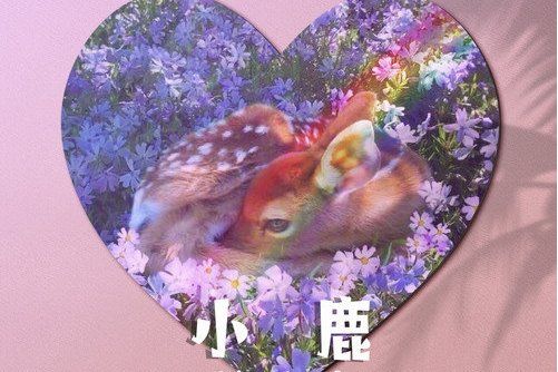 小鹿(2021年劉至佳演唱的歌曲) 小鹿(2021年劉至佳演唱的歌曲)