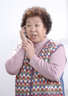 搞笑一家人(2011年高亞麟主演電視劇)