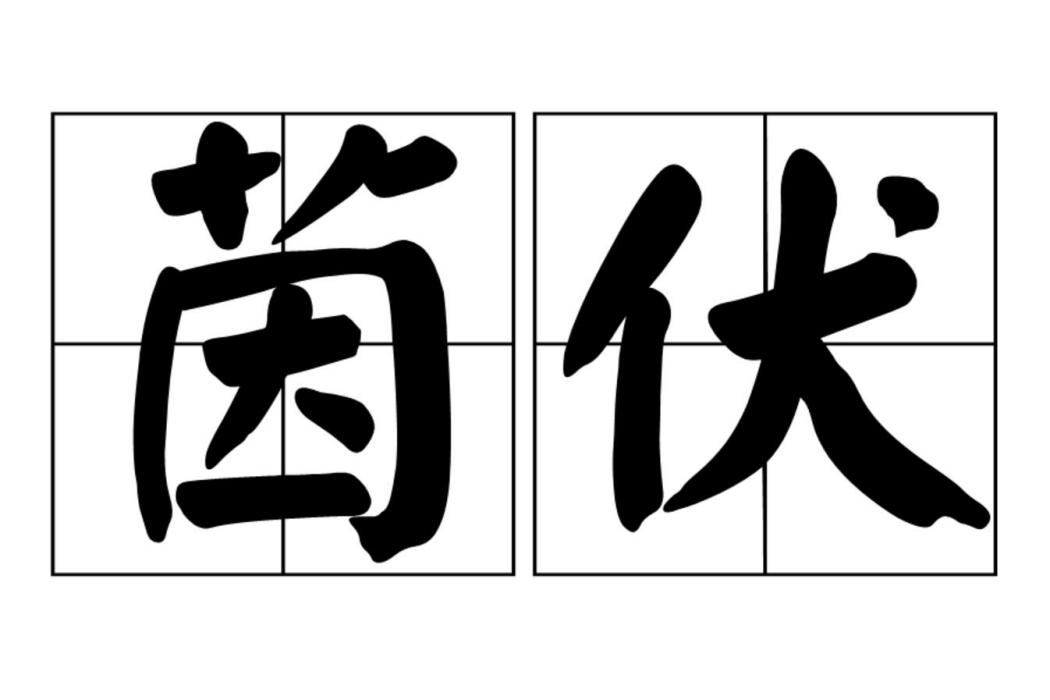 茵伏 茵伏