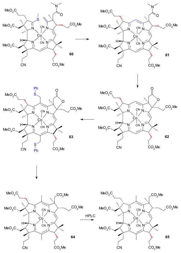 維生素B12AD、BC環偶聯（二）