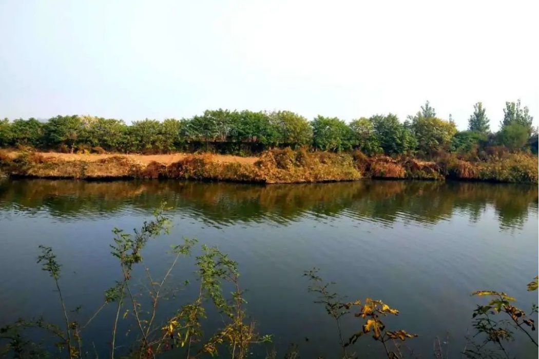 唐房河 唐房河