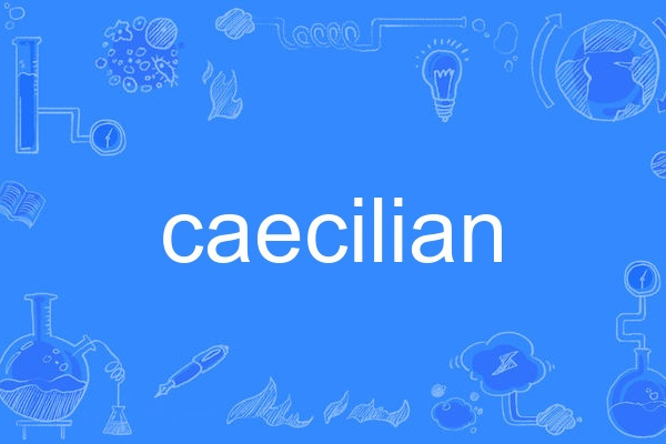 caecilian caecilian