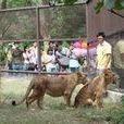 高雄市壽山動物園