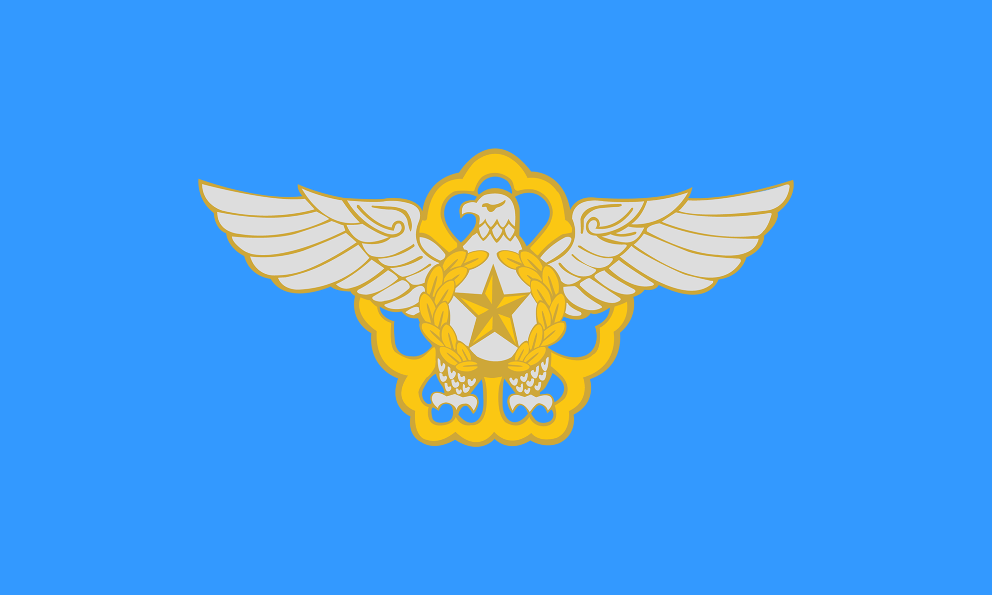 韓國空軍