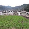 范家村(遼寧省大連市金州區登沙河鎮范家村) 范家村(遼寧省大連市金州區登沙河鎮范家村)
