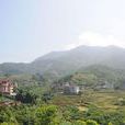 大羽村 大羽村