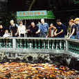 觀魚池 觀魚池