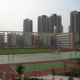新城學校 新城學校