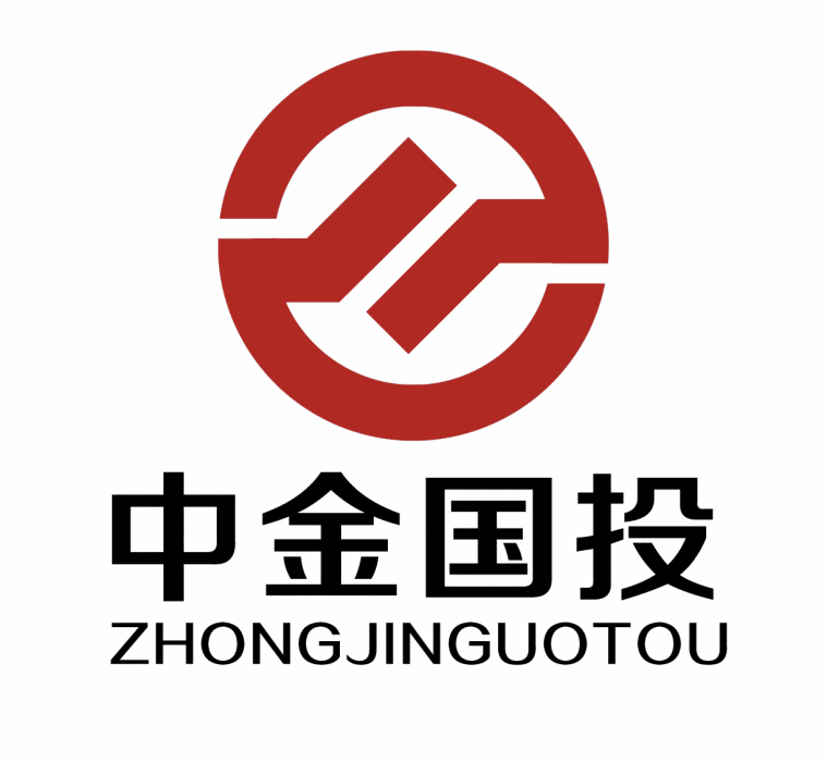 中金國投 中金國投