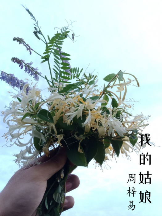 我的姑娘(鐘秋雨演唱) 我的姑娘(鐘秋雨演唱)