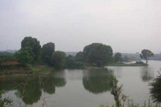 申村水庫 申村水庫