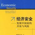 經濟安全(書籍)