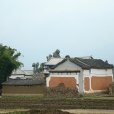 梅和村 梅和村